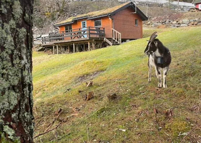 Barlindbotn Med Batutleige *