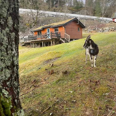 Barlindbotn Med Batutleige *
